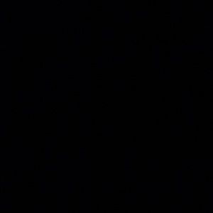 Meet your Posher, Larry